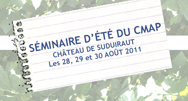 Seminario CNMP Agosto 2011